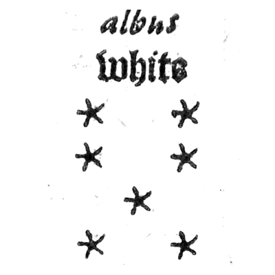 ALBUS, riquadro della tavola di Christopher Cattan, 1591