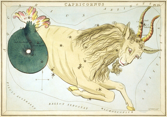 Capricorno, tavola incisa da Sidney Hall